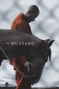 Poster to the movie "The Mustang" #252805