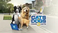 Backdrop to the movie "Cats & Dogs 3: Paws Unite" #89039