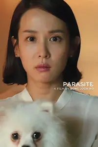 Poster to the movie "Parasite" #605238