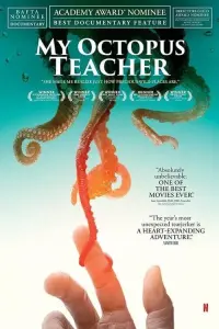 Poster to the movie "My Octopus Teacher" #122441