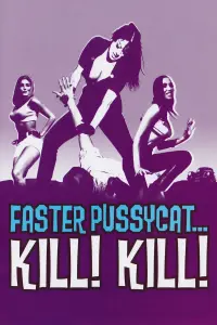 Poster to the movie "Faster, Pussycat! Kill! Kill!" #120467