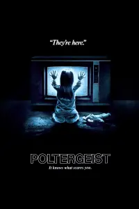 Poster to the movie "Poltergeist" #106237