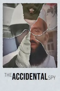 Poster to the movie "The Accidental Spy" #598457