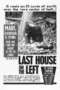 Poster to the movie "The Last House on the Left" #122879