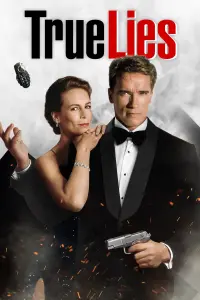 Poster to the movie "True Lies" #242836