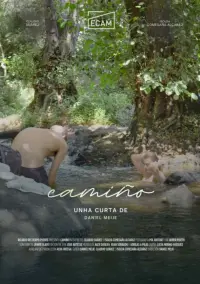 Poster to the movie "Camiño" #369494