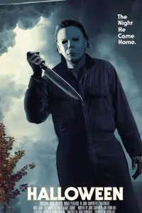 Poster to the movie "Halloween" #558720