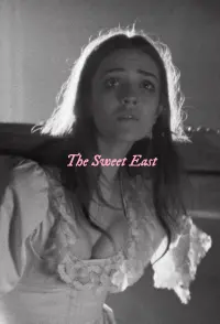 Poster to the movie "The Sweet East" #368635