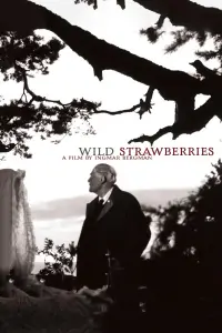 Poster to the movie "Wild Strawberries" #177622