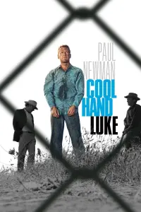 Poster to the movie "Cool Hand Luke" #102962