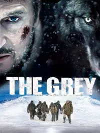 Poster to the movie "The Grey" #279117