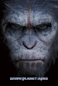 Poster to the movie "Dawn of the Planet of the Apes" #155300