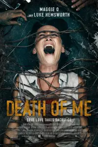 Poster to the movie "Death of Me" #136919