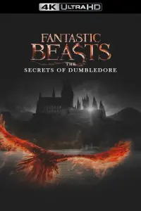 Poster to the movie "Fantastic Beasts: The Secrets of Dumbledore" #7251