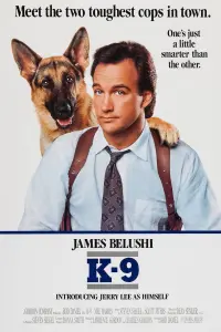 Poster to the movie "K-9" #135557