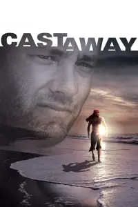 Poster to the movie "Cast Away" #64775