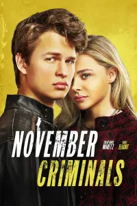 Poster to the movie "November Criminals" #363519