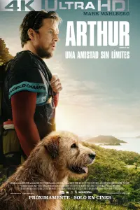 Poster to the movie "Arthur the King" #502627