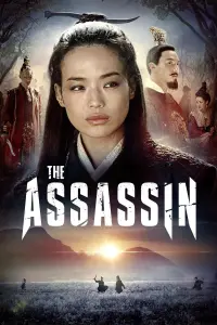 Poster to the movie "The Assassin" #150058