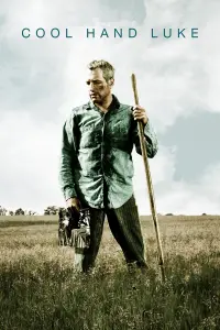 Poster to the movie "Cool Hand Luke" #102966