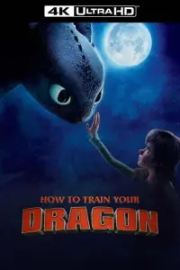 Poster to the movie "How to Train Your Dragon" #23212