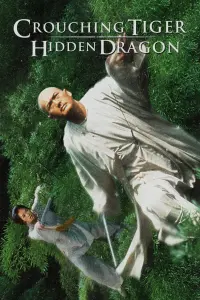 Poster to the movie "Crouching Tiger, Hidden Dragon" #79566