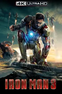 Poster to the movie "Iron Man 3" #173266