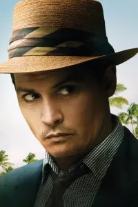 Poster to the movie "The Rum Diary" #384185