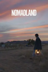 Poster to the movie "Nomadland" #231672