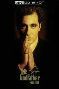 Poster to the movie "The Godfather Part III" #216452