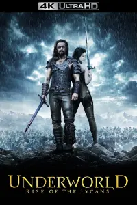 Poster to the movie "Underworld: Rise of the Lycans" #282858