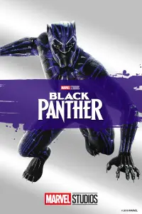 Poster to the movie "Black Panther" #219847