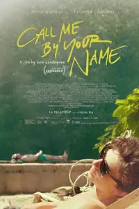 Poster to the movie "Call Me by Your Name" #37209