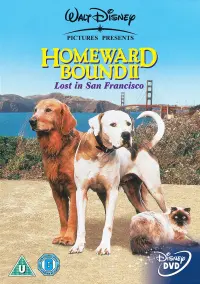 Poster to the movie "Homeward Bound II: Lost in San Francisco" #136064