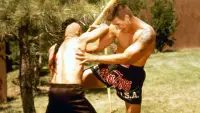 Backdrop to the movie "Kickboxer 4: The Aggressor" #588987