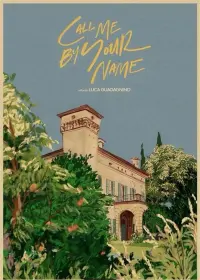 Poster to the movie "Call Me by Your Name" #668367