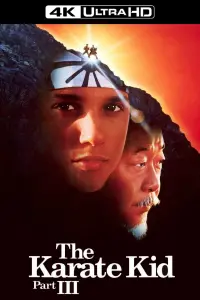 Poster to the movie "The Karate Kid Part III" #325714