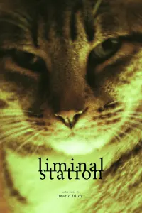 Poster to the movie "Liminal Station" #634134