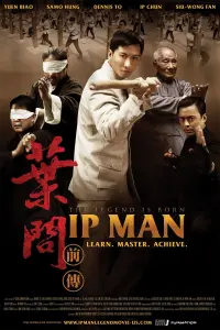 Poster to the movie "The Legend Is Born: Ip Man" #261939