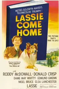 Poster to the movie "Lassie Come Home" #150186