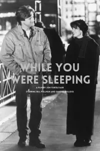 Poster to the movie "While You Were Sleeping" #561241