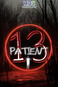 Poster to the movie "PATIENT 13" #641215