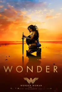 Poster to the movie "Wonder Woman" #31214