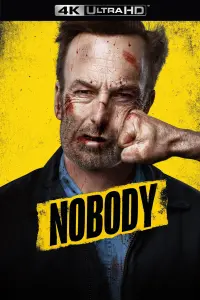 Poster to the movie "Nobody" #35858