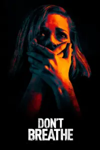 Poster to the movie "Don