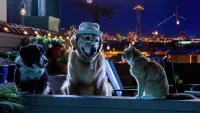 Backdrop to the movie "Cats & Dogs 3: Paws Unite" #322874