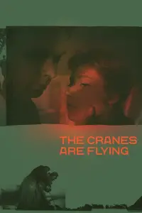 Poster to the movie "The Cranes Are Flying" #181587