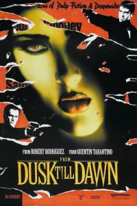 Poster to the movie "From Dusk Till Dawn" #69476