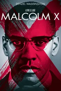 Poster to the movie "Malcolm X" #112576