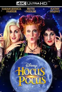 Poster to the movie "Hocus Pocus" #62322